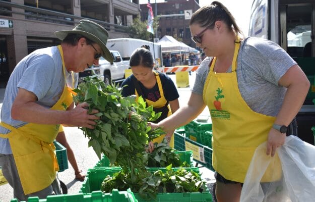 Volunteers collecting herbs at the farmers market